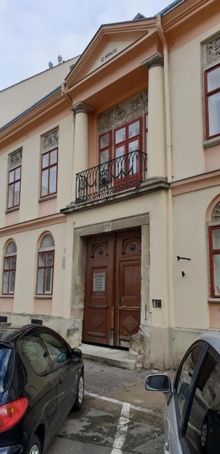 Enjoy 110Qm Apartment Im Historischen Zentrum Sopron Esterno foto